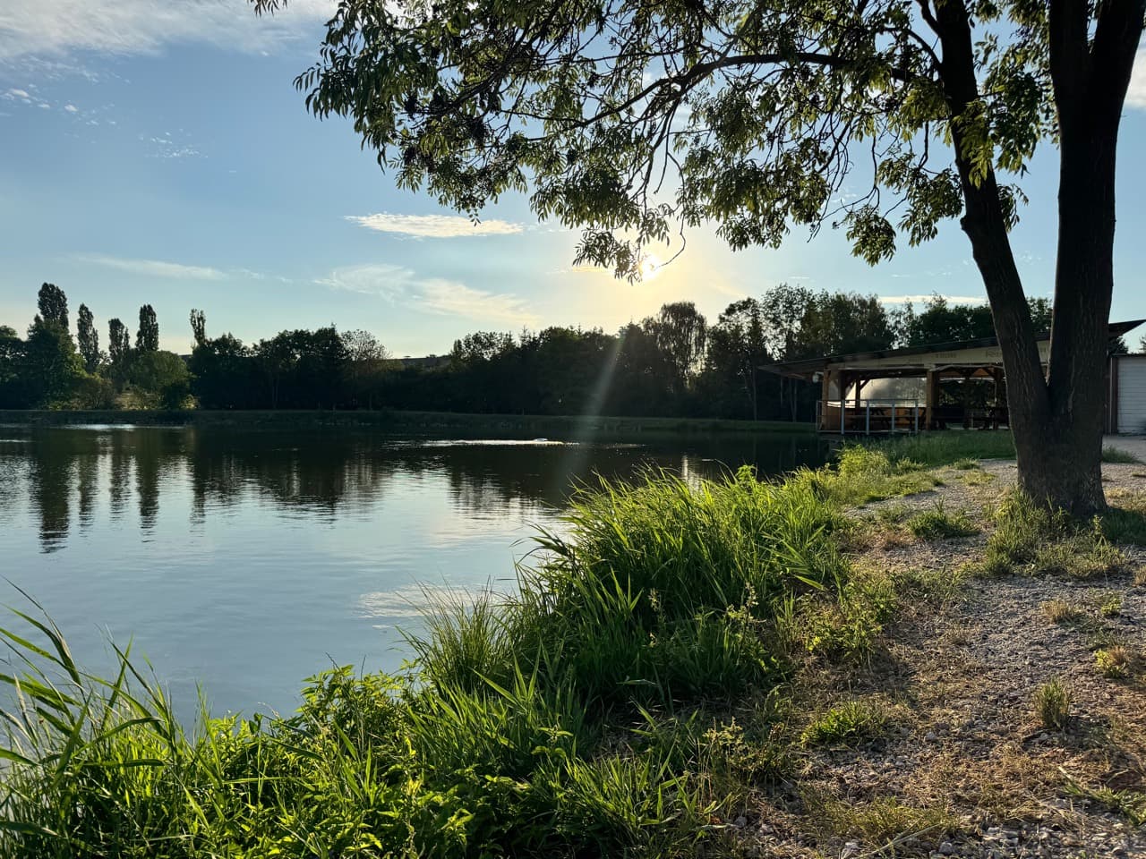 Ranní pohled na soukromý Rybník u Jelena